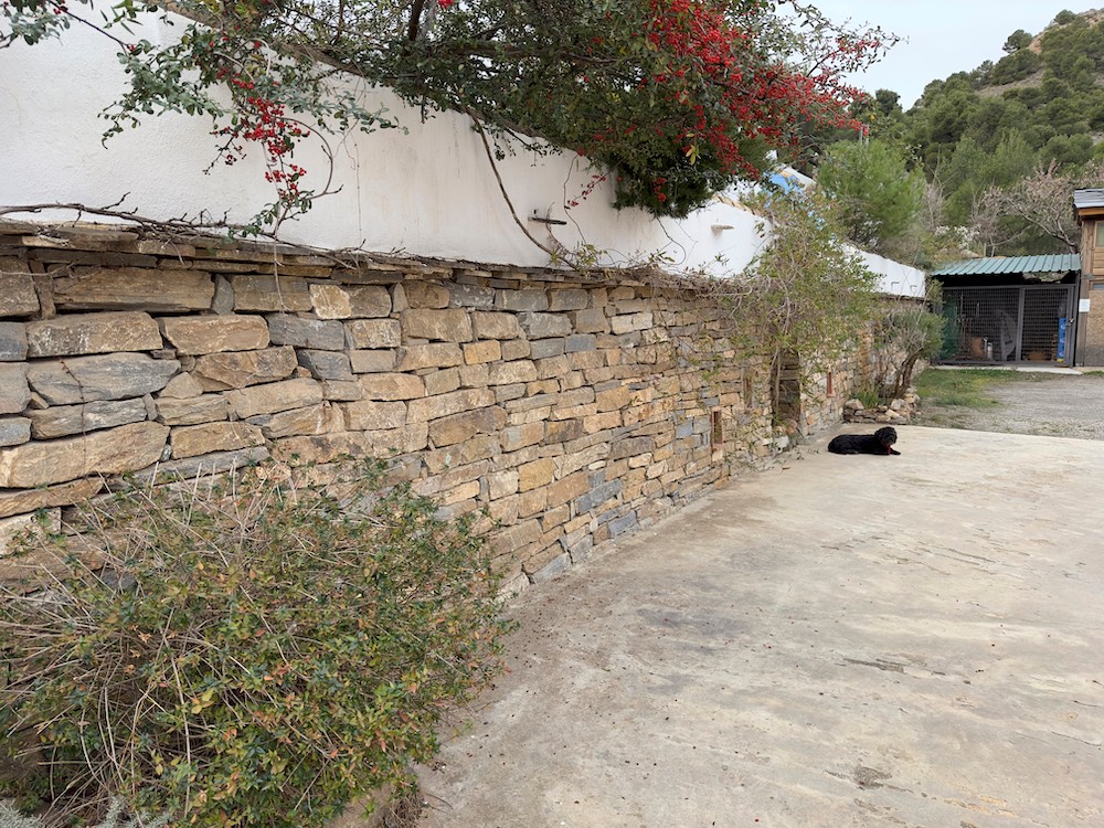 Piedra seca